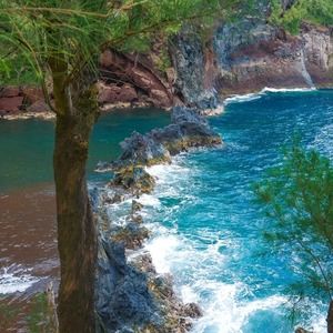 Meet your Posher, Tito